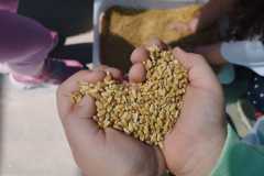 IMG-20240514-WA0008